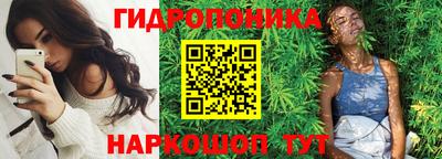 прущие крисы Будённовск