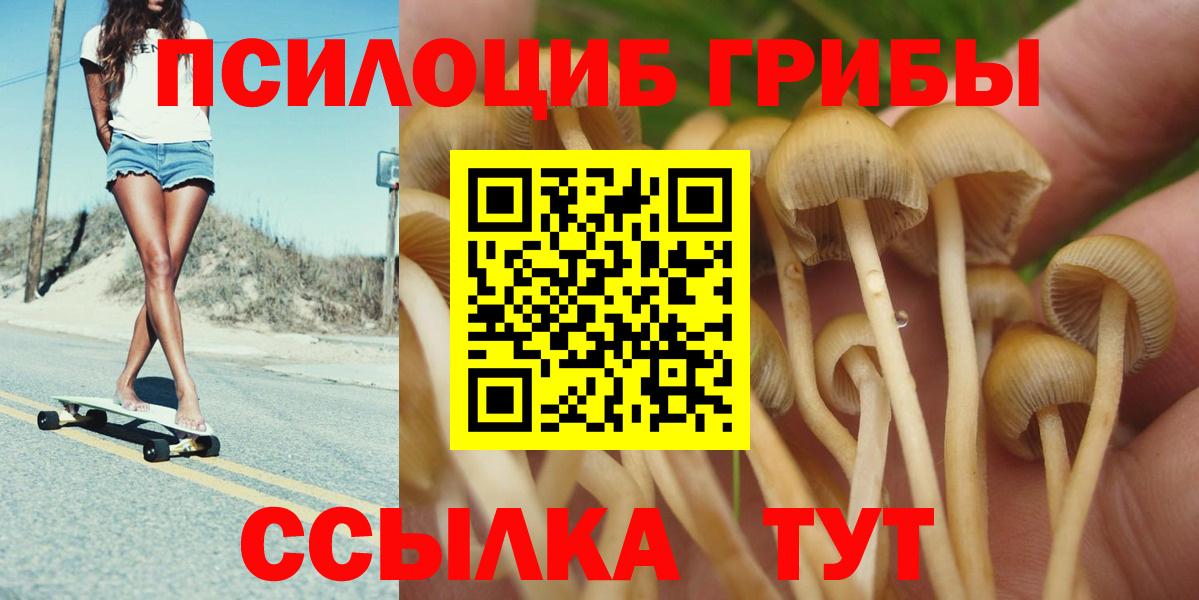 Волхов  Псилоцибиновые грибы Psilocybe  Вход с VPN  где найти   Галлюциногенные грибы Magic Shrooms 